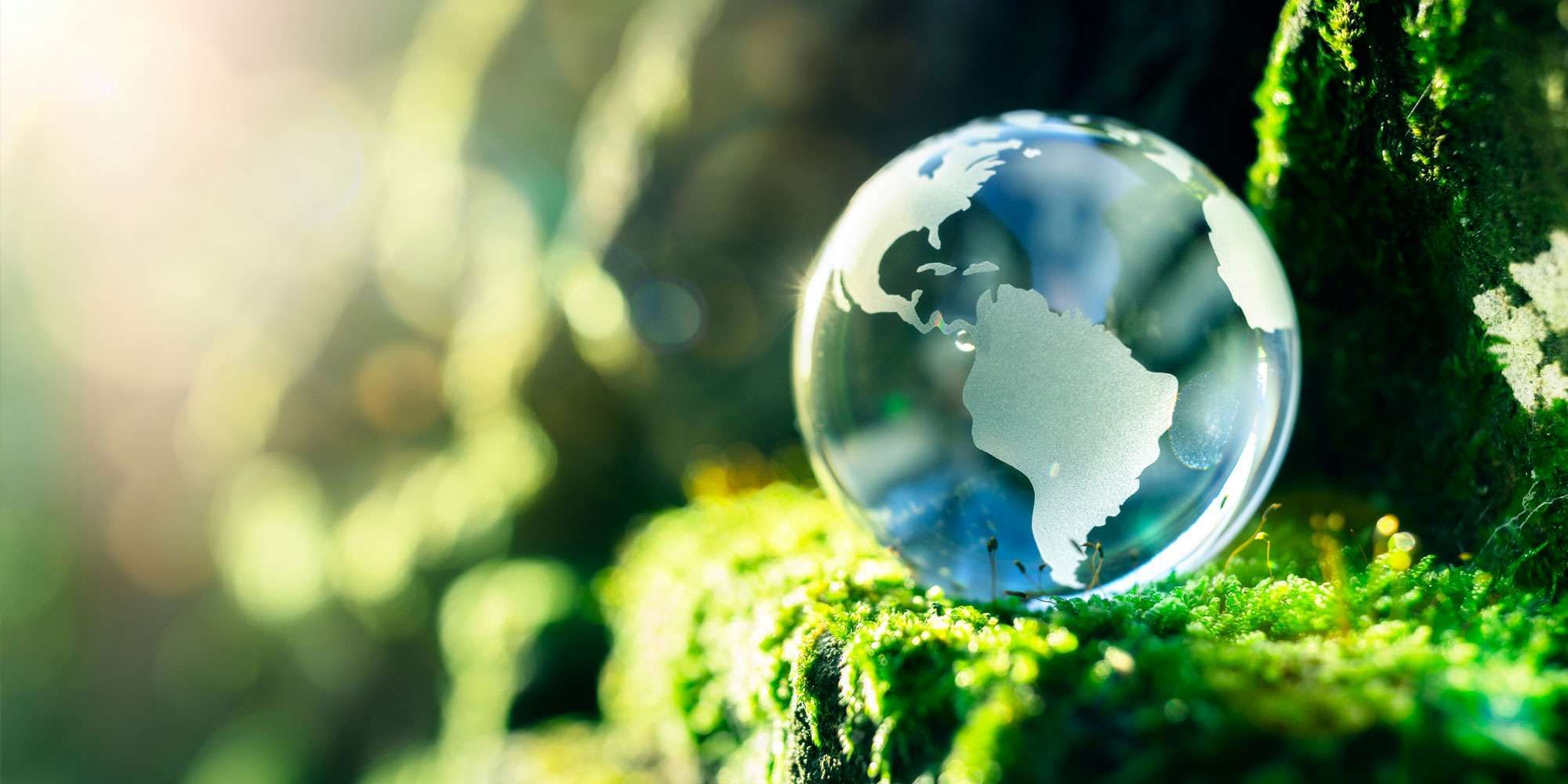 globe image - Sustainability